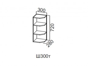 Ш300т/720 Шкаф навесной 300/720 (торцевой) в Лабытнангах - labytnangi.магазин96.com | фото