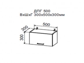 Шкаф верхний ДПГ500 горизонтальный в Лабытнангах - labytnangi.магазин96.com | фото