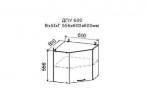Шкаф верхний ДПУ600 угловой в Лабытнангах - labytnangi.магазин96.com | фото